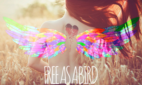 12/11限時免費App特輯：有了高質感濾鏡，你也能成為攝影達人！ 限免、免費、特價、iPhone、App