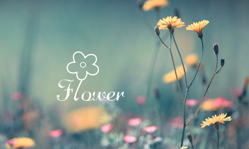 12/12限時免費App特輯：模糊的照片更有味道！ 限免、免費、特價、iPhone、App