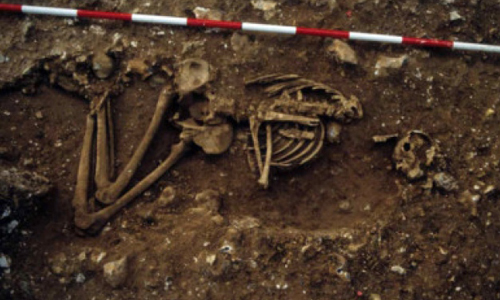 古戰士其實滿身病？4000歲骷髏秘密檔案大公開 英國、骷髏、4000歲、遺骸、戰士