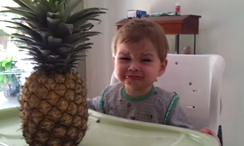 「嗚嗚你長得好像妖怪…」寶寶被鳳梨嚇到理智斷線！ 可愛、萌、寶寶、嬰兒、崩潰、崩潰萌、討厭、水果、鳳梨、西洋梨、香蕉、崩潰、哭、嚎啕大哭、喜歡、好奇、醜、刺、驚慌