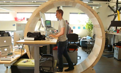 工作越久越健康？超適合戰鬥民族的健身辦公桌 健身、運動、辦公桌、倉鼠、野餐、草地、滾輪、office desk、walk while you work、 work out、grass、wheel、 hamster 