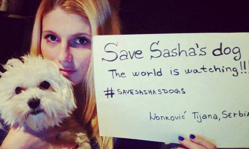 為了都更流放450隻狗？塞國政府槓上全球狗奴 savesashasdogs、Forgotten Paws、Sasha、收容所、政府