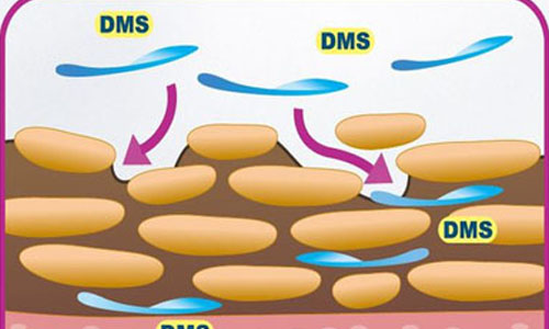 避免過度清潔！冷天修護脆弱肌膚的保養重點 健康醫療網、肌膚、乾燥、保濕、德國、DMS、LLB、導入式保濕