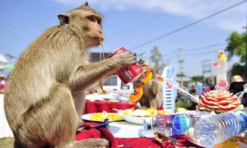 居然有節日可以讓你盡情毆打鄰居？！世界上6個奇怪的節日 寧靜節、Nyepi Day、Silent day、印尼、峇里島