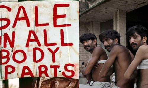 兒童鮮嫩肝腎人人爭著要　孟加拉器官買賣悲歌 孟加拉、器官、買賣、黑市、掮客、恐怖、綁架、昏迷、棄屍、幼童、富商、貧苦、肝、腎