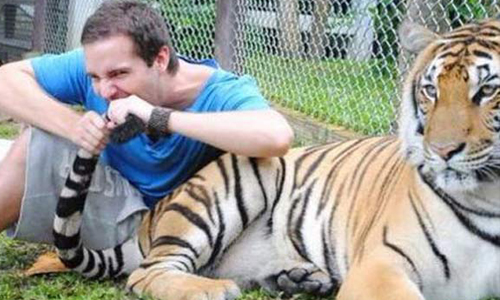 上傳與老虎合照會讓你觸法？美國2015年的7條奇怪新法律 2015、law、美國、法律、自拍、老虎、yes means yes、加州、California、紐約、New York、內華達州、Nevada、特拉華洲、Delaware