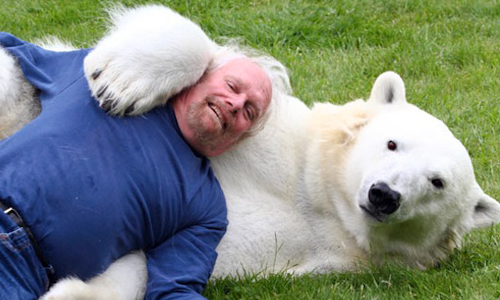 凶猛動物也是療癒系？和人討抱抱好撒嬌 凶猛、可愛、萌、擁抱、動物