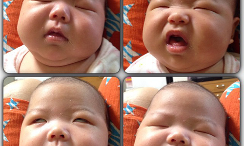 根本在整小孩吧？日本胖寶與4隻法鬥的滑稽生活 日本、可愛、寶寶、兒童、小孩