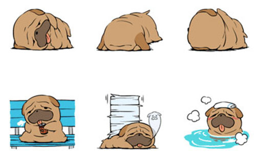 招牌下垂眼讓你無法招架！胖犬普魯蛋的LINE貼圖 普魯蛋、狗、LINE、貼圖