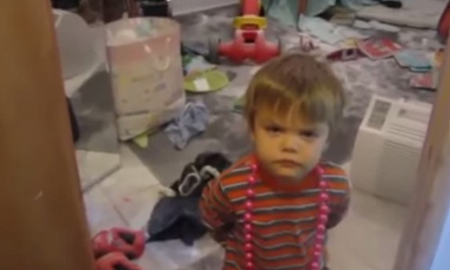 捕獲現行犯！小朋友做壞事被抓到的反應讓你笑翻    做壞事、抓貓、捕獲、現行犯、犯錯