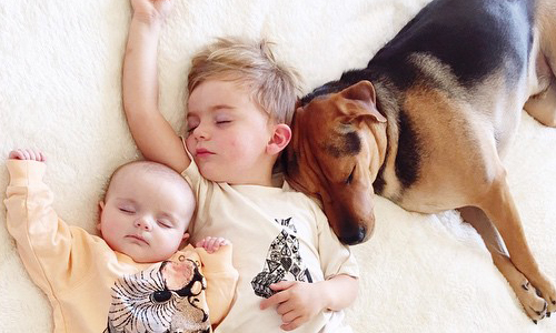 家人就是我的枕頭！史上最療癒兄妹與狗狗的午睡側拍照 Instagram、Beau、Theo、Evvie、Jessica Shyba