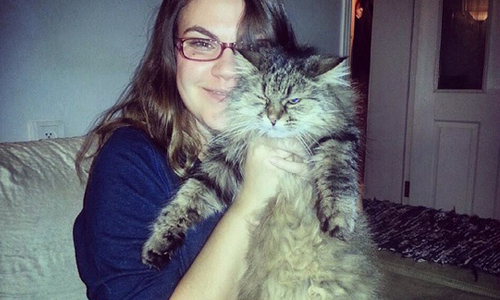 合照時總是一臉不爽？12個跡象看出你的貓其實討厭你... cat、貓、討厭、傲嬌、可愛