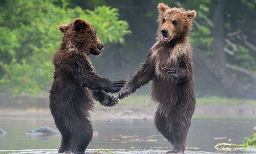 改天再約就是絕對不會約？我們從小聽到大的10句謊言 謊言、說謊、謊話、同學、唸書