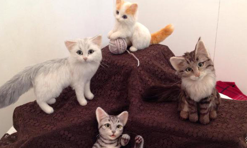 根本是活生生的貓咪嘛！逼真喵喵羊毛氈已想收藏    Campanella、nelulu、nelula、twitter、羊毛氈、貓咪、逼真、擬真、花貓、萌、可愛、療癒、收藏、日本、手作、達人、頭飾