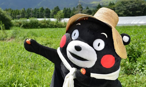來熊本熊的家鄉玩吧！5大「九州之最」旅遊亮點推薦 愛玩妞、九州、熊本城、KUMAMON、熊本熊