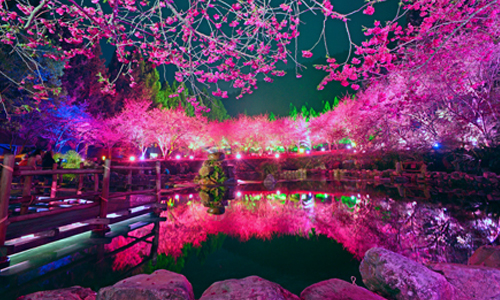 賞櫻季、天燈節全都來了！特搜台灣5大年假出遊景點 愛玩妞、過年、元宵、年假、景點