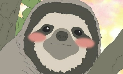 樹懶是怎麼叫的？脫力系百變樹懶LINE貼圖 樹懶、可愛、溫馨、慢、慢速