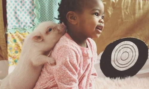 這麼可愛的玩伴哪裡找！萌妹與豬豬被領養後的甜蜜生活 livesweetphotography、領養、溫馨、可愛、萌妹