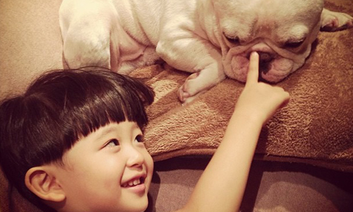 瀏覽紀錄全是陌生人的狗！十個理由證明你是狗狗成癮病友 Instagram、狗、養狗、上癮、陌生人