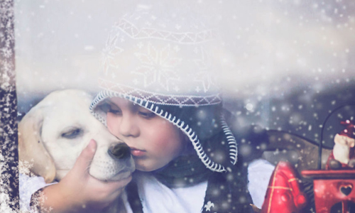 你要跟我一起堆雪人嗎？小男孩與拉不拉多的夢幻日常 拉不拉多、夢幻、日常、塞爾維亞、 Djordje