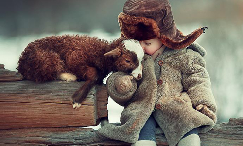和羊駝來個愛的抱抱 小孩和動物們是最好的朋友 Elena Shumilova、俄國、俄羅斯、小孩、動物