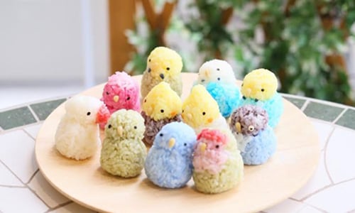 咖哩竟然能這麼可愛？療癒系「鸚鵡美食」上菜了  鸚鵡、小鳥、咖啡店、不定期、活動