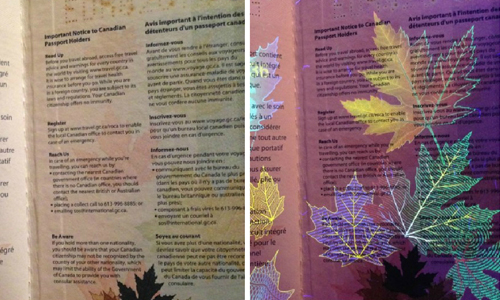 海關工作時好多小驚喜！加拿大新護照精緻設計曝光 加拿大、新版護照、閃閃發光、驚喜連連、漂亮