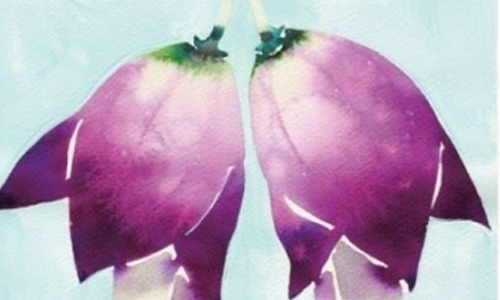 文青就是腳勤：日本插畫家小早川的清新花園 展覽、表演、藝文活動、活動、假日