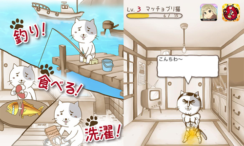 毛小孩吃飽後居然變成...超有成就感的養成App《宅貓的獨居日記》 手機、App、遊戲、貓咪、喵星人、養成、宅、獨居