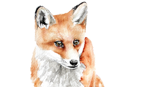 融合虛幻與懷舊浪漫 夢幻系水彩動物插畫 brigitte_may、插畫、水彩、設計、藝術、動物、夢幻、藝術