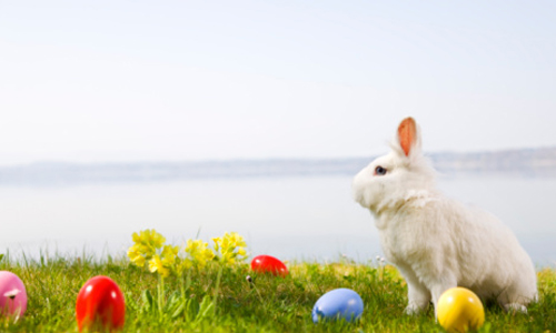 為什麼是兔子和彩蛋？充滿愛與祝福的「復活節」小秘密 彩蛋、復活節、習俗、由來、重生