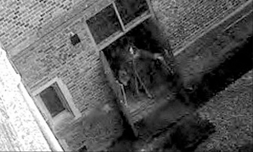 皇宮鬧鬼200年！猝死侍女靈異照片現蹤影？ 鬼、靈異、皇宮、恐怖、猝死