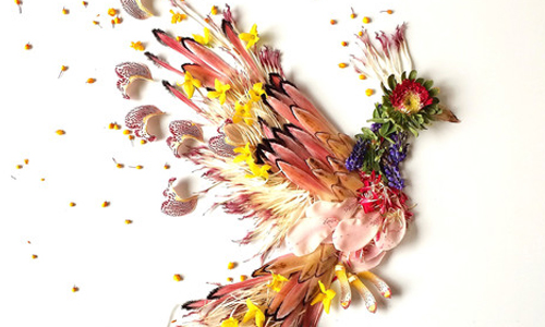 花瓣枝葉竟能組合出可愛動物！看排花藝術家的巧手創作 Bridget Beth Collins、 floraforager、 flora.forager、 Instagram、藝術