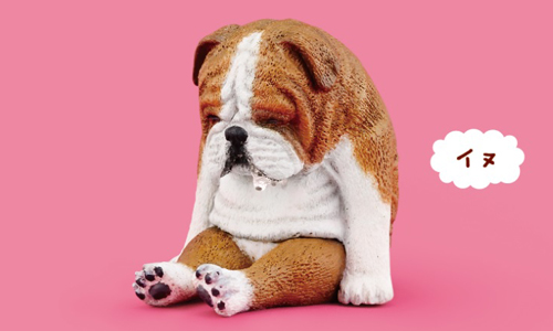 誰的睡相這麼憂鬱又療癒？圓滾滾動物全員愛睏中！ 動物、愛睏動物園、zoozoozoo、扭蛋、睡相