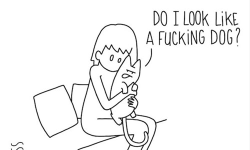 奴你智商低不會懂的！14張漫畫揭露貓咪超失禮心底話 真心話、貓、貓奴、漫畫、插畫