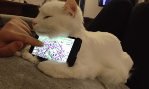 肉球不只賣萌還超無敵！喵星人隱藏版使用法大公開 貓咪、使用、可愛、萌、手機架、溫度計、血壓器、眼罩、功能