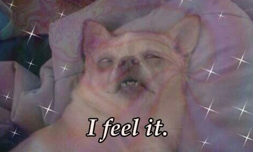 印尼警方公然銷毀毒品 燒得全鎮都好嗨 毒品、大麻、印尼、High、安非他命