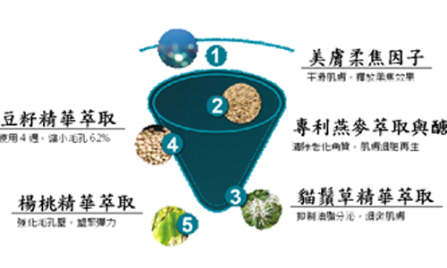 [新聞稿] 安麗ARTISTRY毛孔緊緻精華 改善多重毛孔困擾 再現平滑美肌 肌膚、表面、角質、毛孔、老化