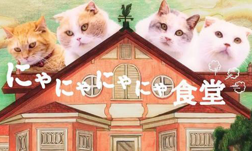 誰聽得懂你們說甚麼！地表首支全喵語影片登場 喵星人、貓、可愛、喵語、廣告