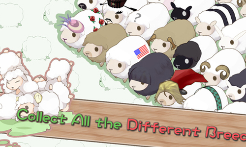 想體驗當牧羊女的感覺嗎？模擬畜牧養成App《養肥羊》 養肥羊、手機、App、設計、養成、羊羊、胖、可愛、療癒