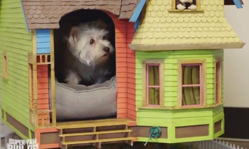 《天外奇蹟》飛天房屋搬到現實中啦！由專業團隊打造的超酷造型狗屋 天外奇蹟、狗屋、節目、Man at Arms