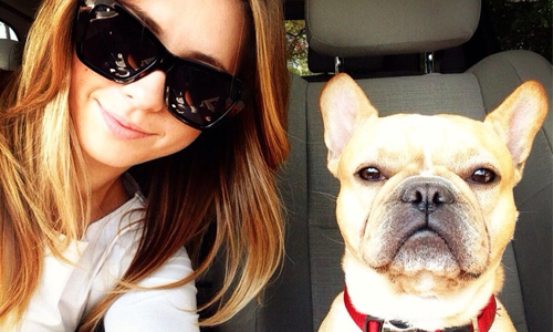 「寵物跟我拍照超嫌棄！」主人與狗貓合照的怪臉搞笑合輯 寵物、狗、貓、嫌棄、主人