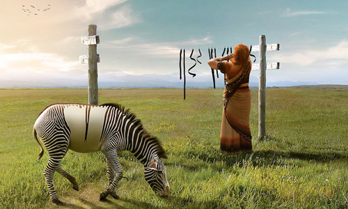 斑馬的條紋拆下來可以做什麼？從攝影師的創意視角看世界 攝影、藝術、Anil Saxema、奇幻、幻想