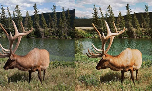 一手拍出空靈意境！文青限定修圖App《Priime》 文青、氣質、空靈、意境、文藝青年