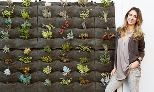 愛清潔、有禮貌 人人見了都喜愛的7位愛地球藝人 環保、愛地球、世界地球日、黛安克魯格、娜塔莉波曼、Natalie Portman、潔西卡艾芭、Jessica Alba、布萊德彼特、Brad Pitt、凱特布蘭琪、Cate Blanchett、李奧納多、Leonardo DiCaprio、伊恩桑默海德、Ian Somerhalder