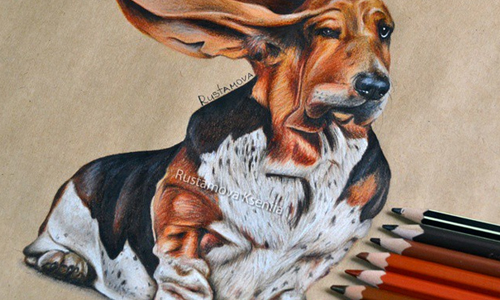 色鉛筆就是她的照相機！俄羅斯藝術家的擬真手繪 色鉛筆、動物、手繪、俄羅斯、藝術家、擬真、作品、藝術、長頸鹿、狗、食物、植物、藝術