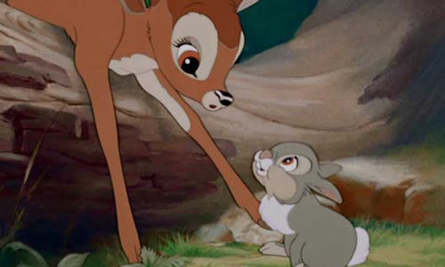 不只是斑比的BFF！迪士尼認證《小鹿斑比》的兔子桑普的6個可愛時刻 桑普、Thumper、小鹿斑比、Bambi、可愛