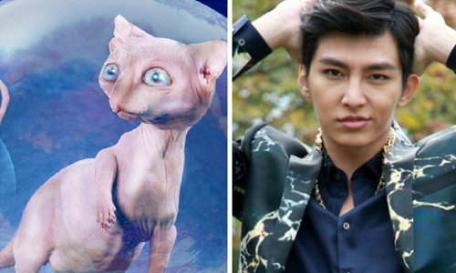 妞快報：「受災戶」炎亞綸餘震未退 被網友惡搞成「地面系神奇寶貝」 妞快報、炎亞綸、餘震、神奇寶貝、地震