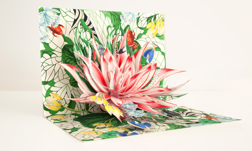 玫瑰花裡面藏了什麼？精細度超乎想像的立體卡片 立體、卡片、植物、動物、自然、手繪、藝術、插畫、精緻、Bozena Rydlewska、藝術