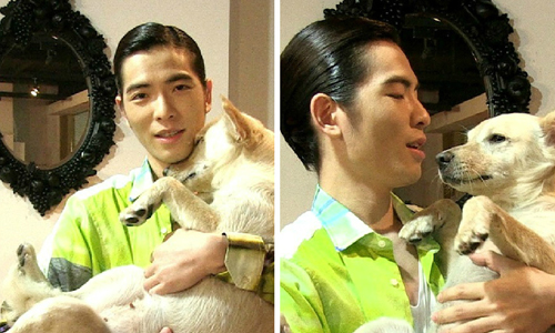 「讓牠們快樂是我的榮幸！」蕭敬騰的4貓3狗溫馨寵物家族 動物、寵物、流浪動物、流浪狗、流浪貓、可憐、可愛、蕭敬騰、愛狗、愛貓、王丰、感人、溫馨、認養